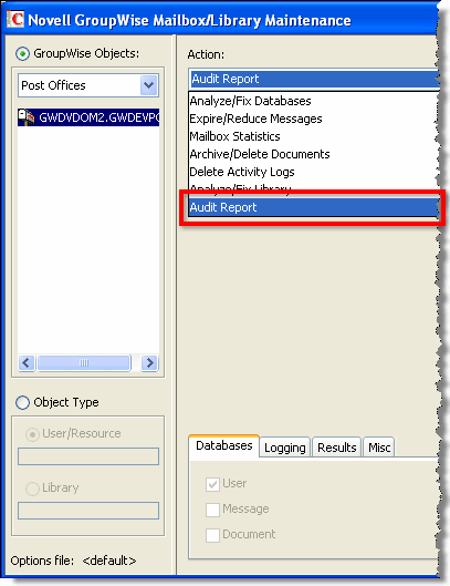 GWCheck Audit option