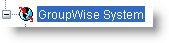 GroupWise System Icon